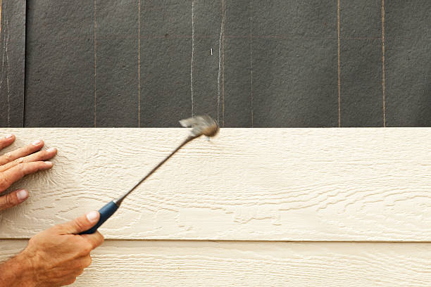Best Siding for New Construction  in Tropical Park, FL